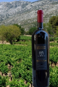 Magnum EDC Rotwein, toller Jahrgang