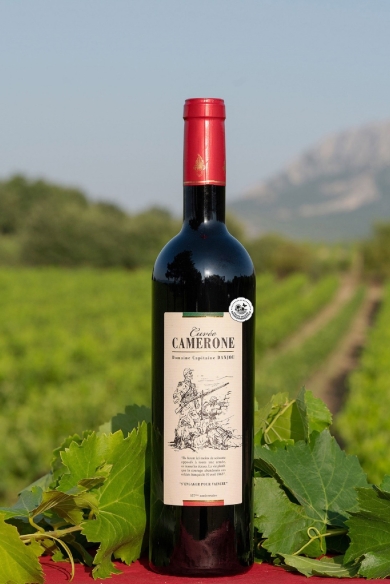 Camerone Rotwein