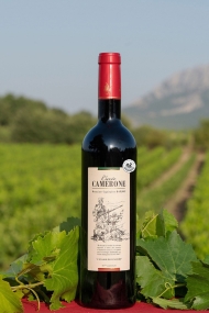 Camerone Rotwein